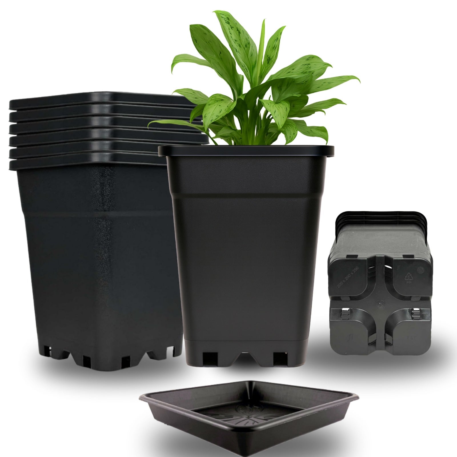 Töpfe & Untersetzer