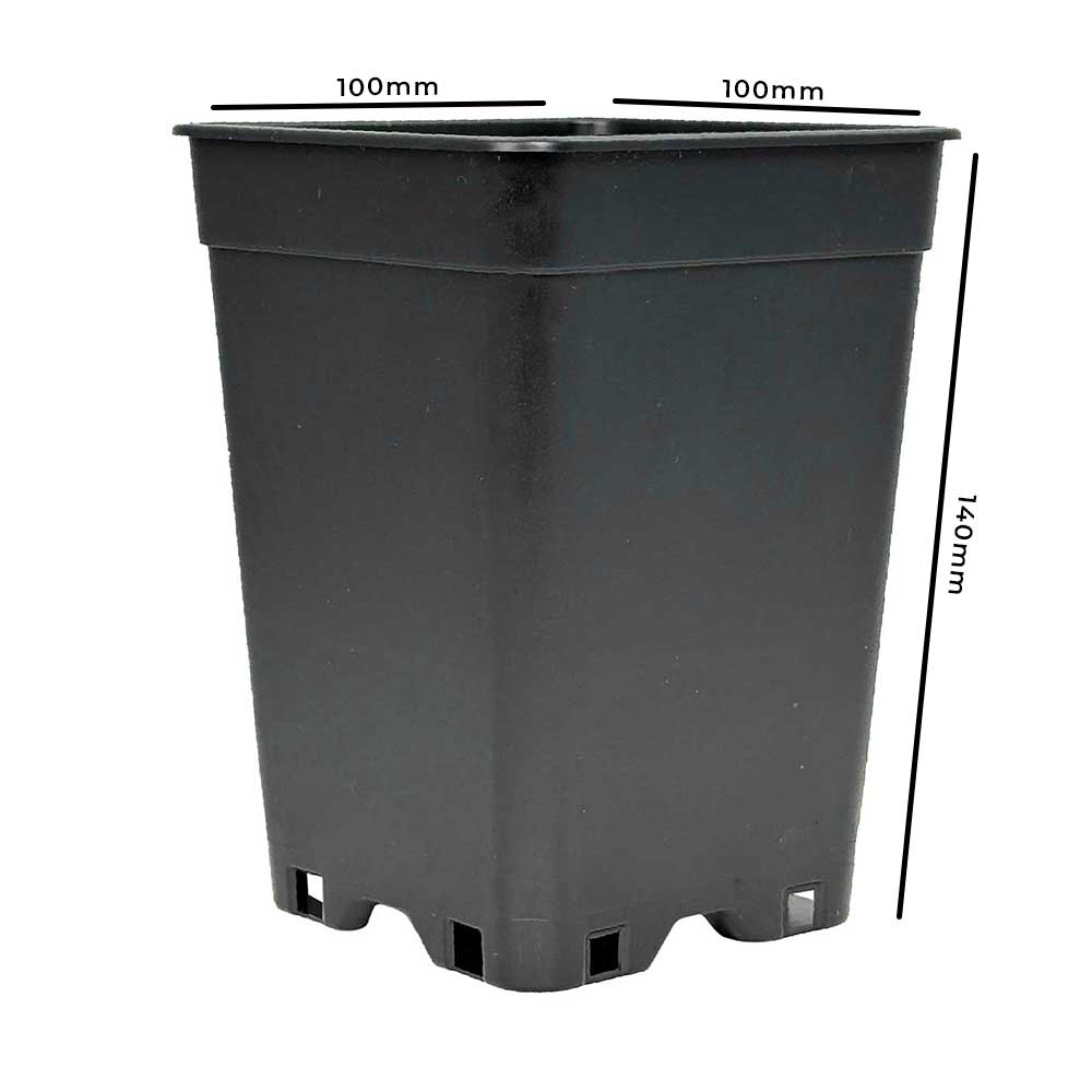 Anzuchttopf 1 Liter 10,3×10,3×13,7 cm