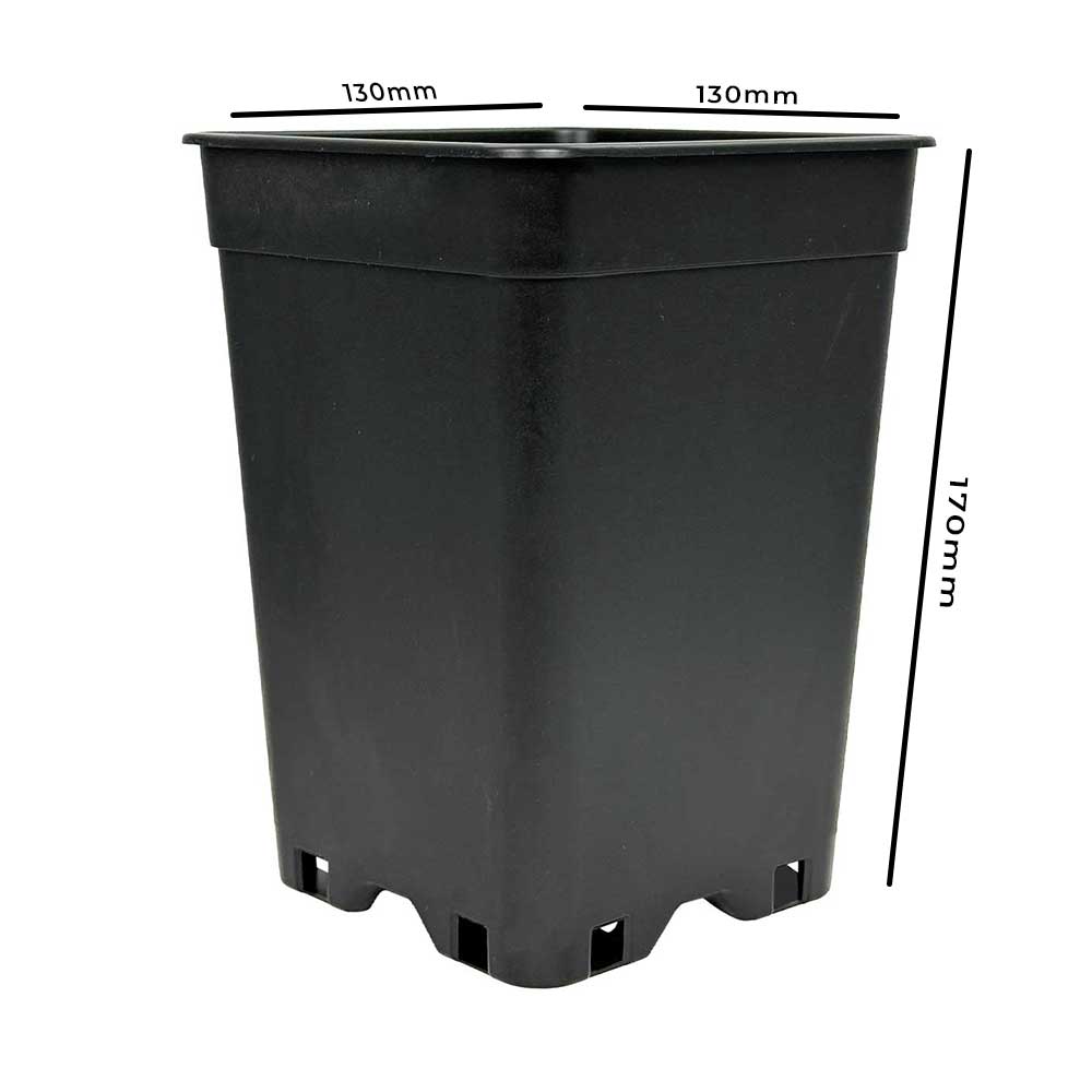 Anzuchttopf 2 Liter 13x13x17 cm