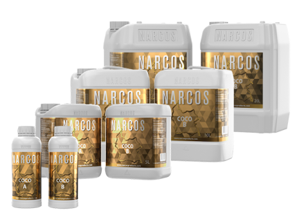 NARCOS Coco A+B