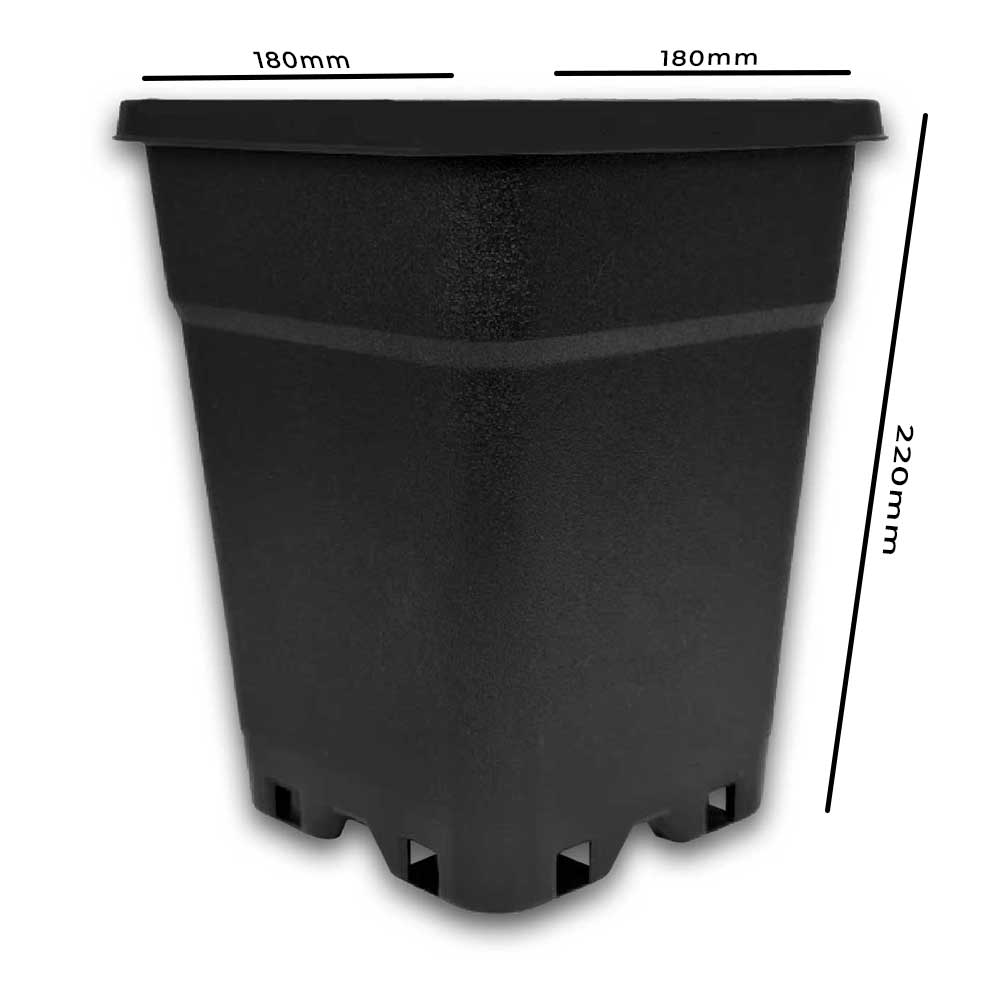 Pflanztopf 5 Liter 18x18x22 cm