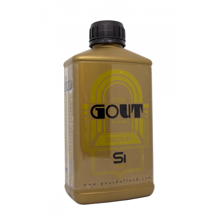 Gout Silizium 1L