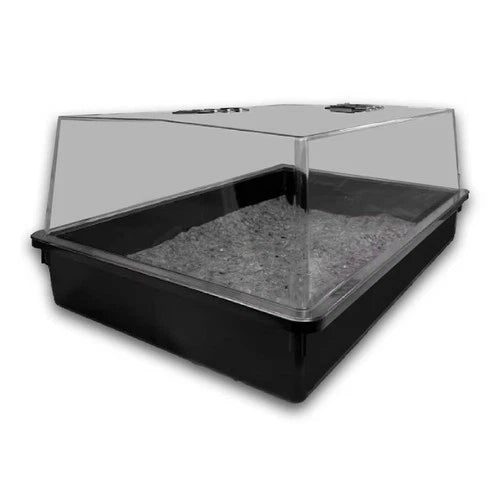 Gewächshaus Pro 70 58 × 38 × 24 cm (Boxed)