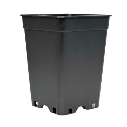 Anzuchttopf 1 Liter 10,3×10,3×13,7 cm