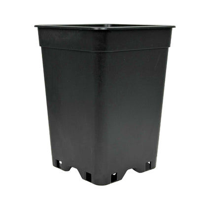 Anzuchttopf  2 Liter 13x13x17 cm