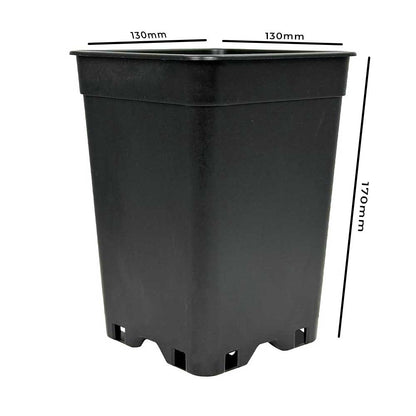 Anzuchttopf  2 Liter 13x13x17 cm