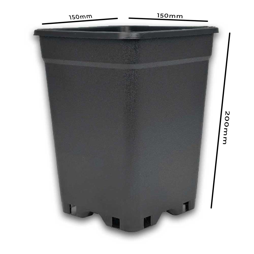 Pflanztopf 3,5 Liter 15x15x20 cm