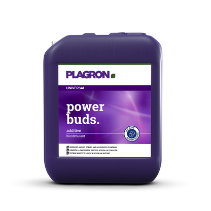 Plagron Power Buds
