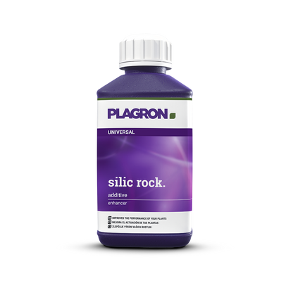 Plagron Silic Rock